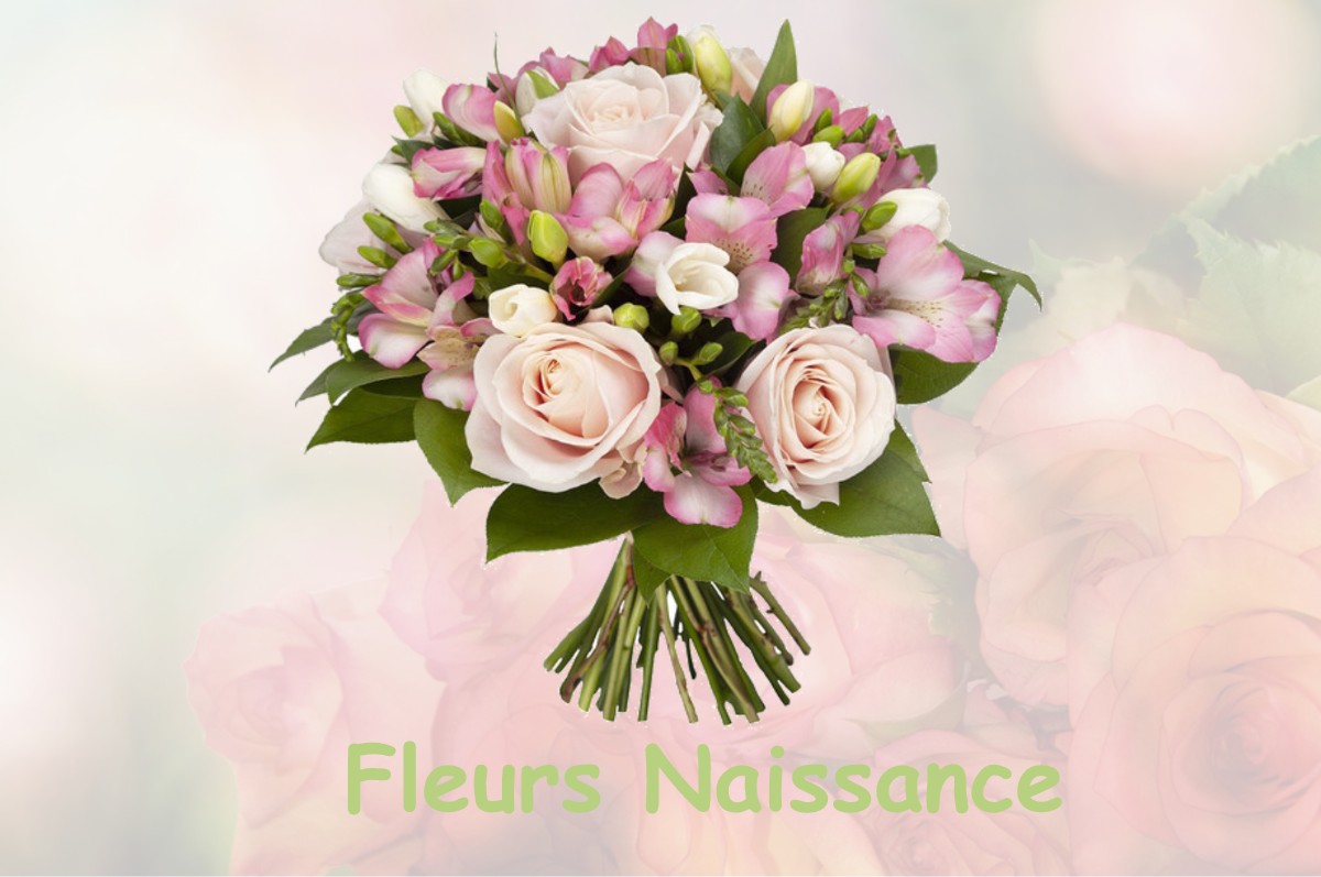 fleurs naissance BENQUET