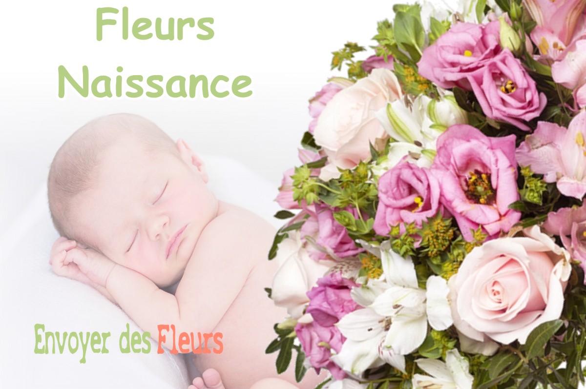 lIVRAISON FLEURS NAISSANCE à BENQUET